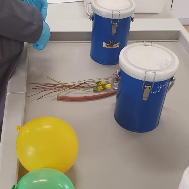 Preschoolers Enjoy Hands-On Chemistry Fun at UCT Educare