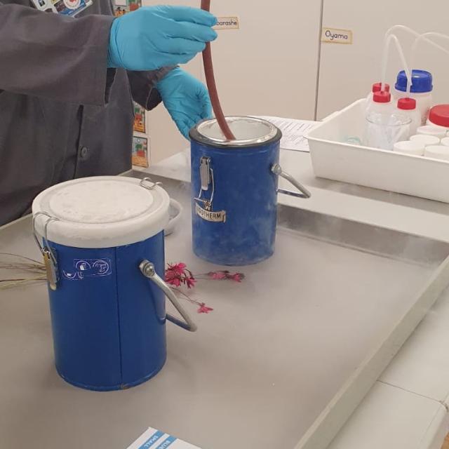 Preschoolers Enjoy Hands-On Chemistry Fun at UCT Educare