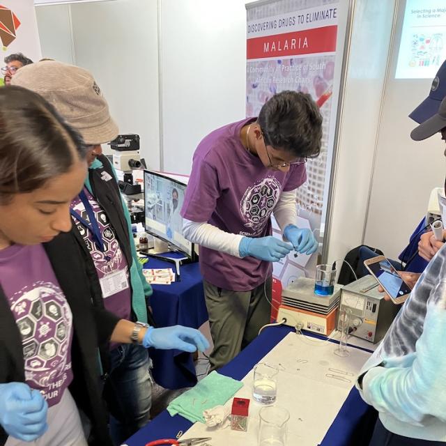 Dr Douman and her students all setup to show students how to electroplate jewellery