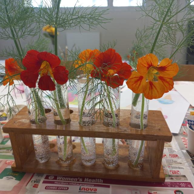 A wooden rack holding five small glass vials, each containing water and a single blooming flower, with a table covered in newspaper in the background.