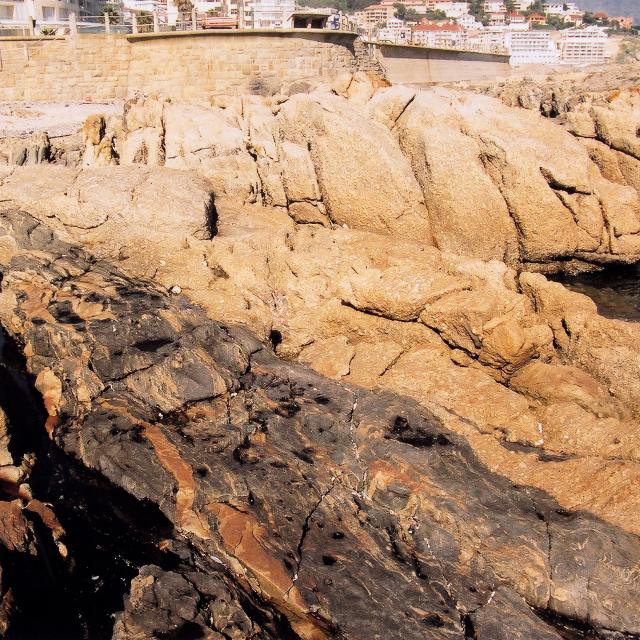 The famous seapoint contact