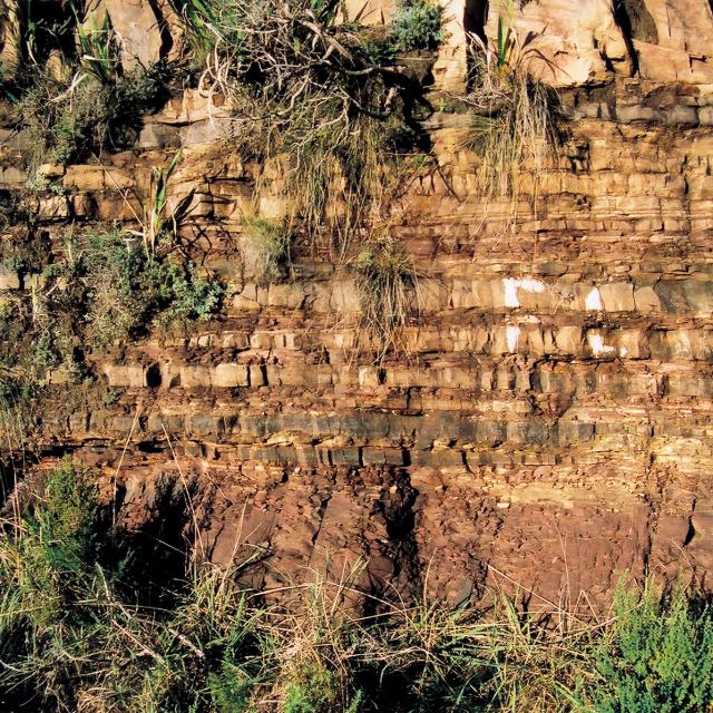 graafwater_fm_outcrop