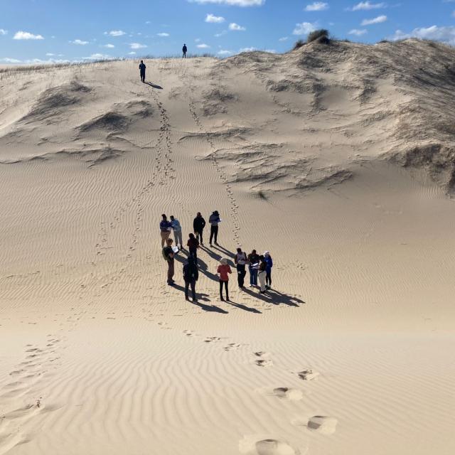 2024_Langebaan_sand_dunes