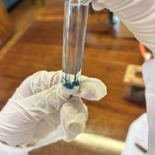 Interactive School Lab Session 2025