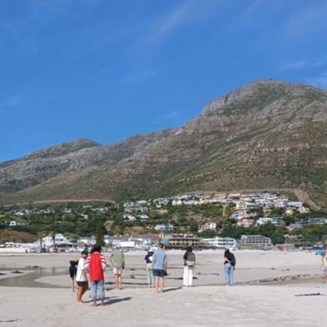 Hout Bay Beach