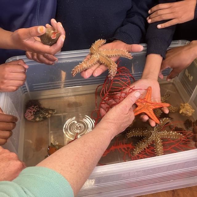 Bringing Science to Life for Learners