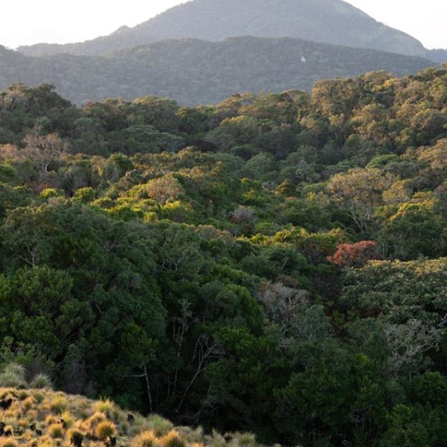 Mount Mabu