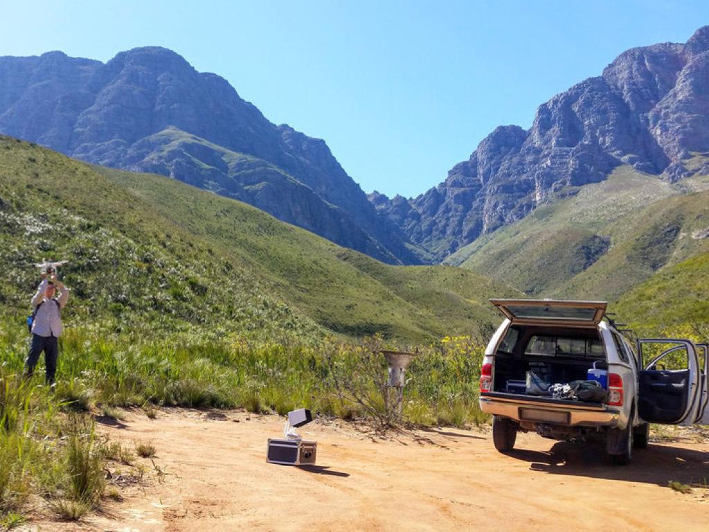 2022-02-14_fynbos.jpg