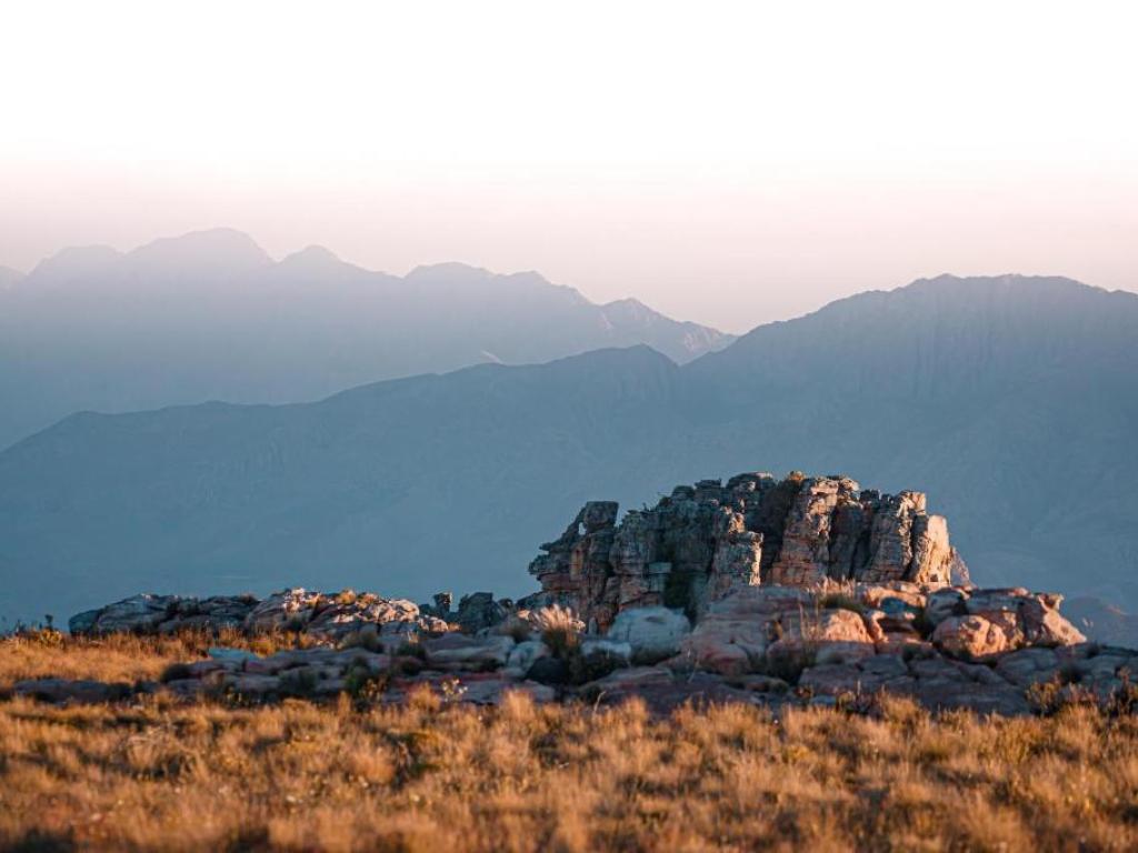 SA nature reserve