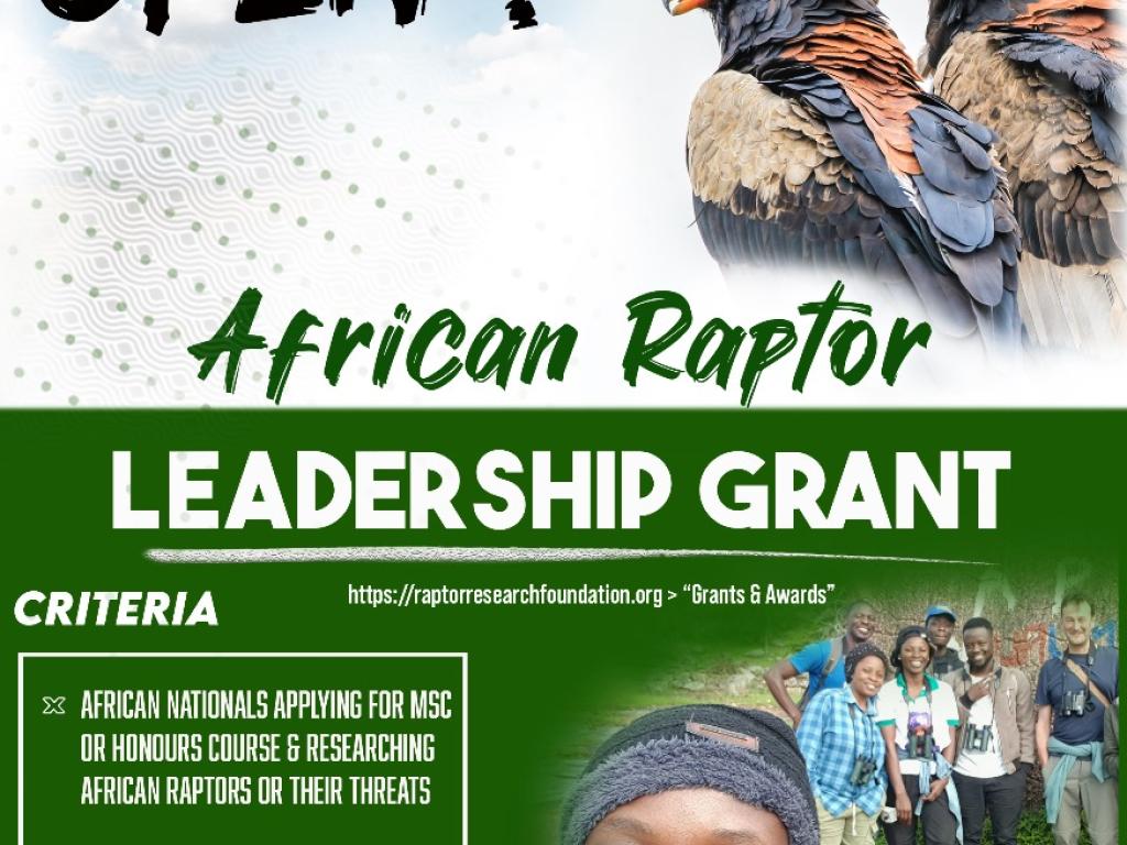 African Raptor Leadership Grant call 2025