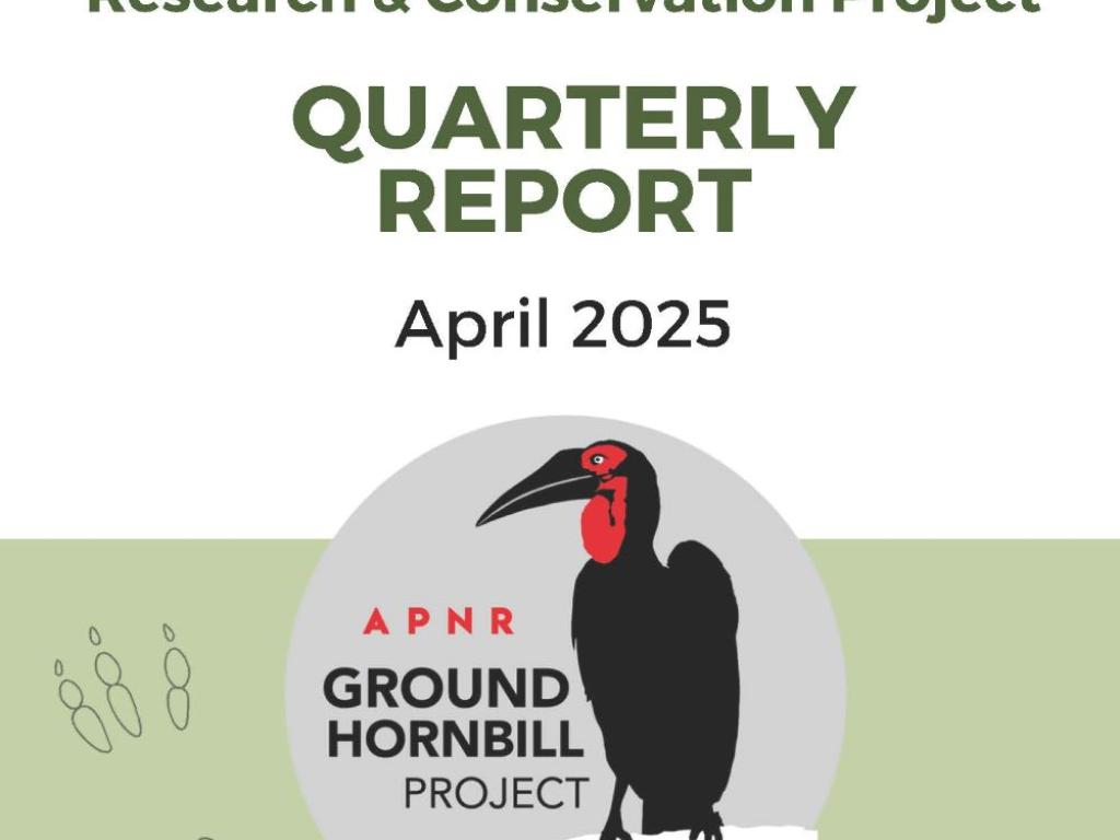 APNR SGH Report cover 2