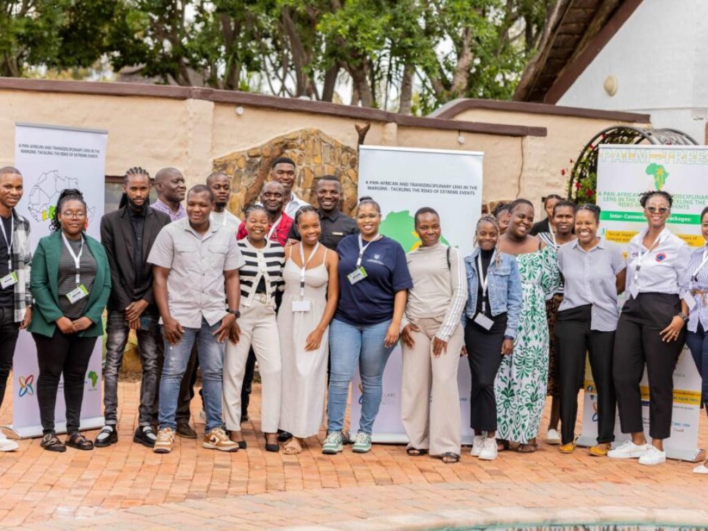 Palm trees Limpopo launch