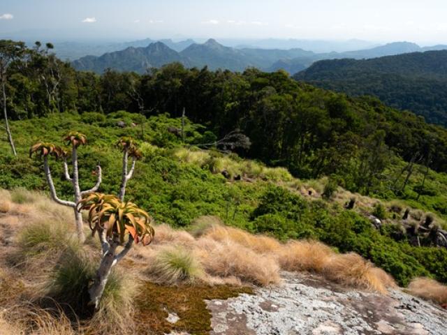 mount-mabu-4_3.jpg?h=de238ad2& mount-mabu-4_3.jpg?h=de238ad2&