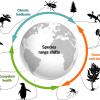 http://science.sciencemag.org/content/355/6332/eaai9214?utm_campaign=toc_sci-mag_2017-03-30&et_rid=34847854&et_cid=1246155