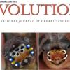 Part of cover of journal, Evolution, June 2025