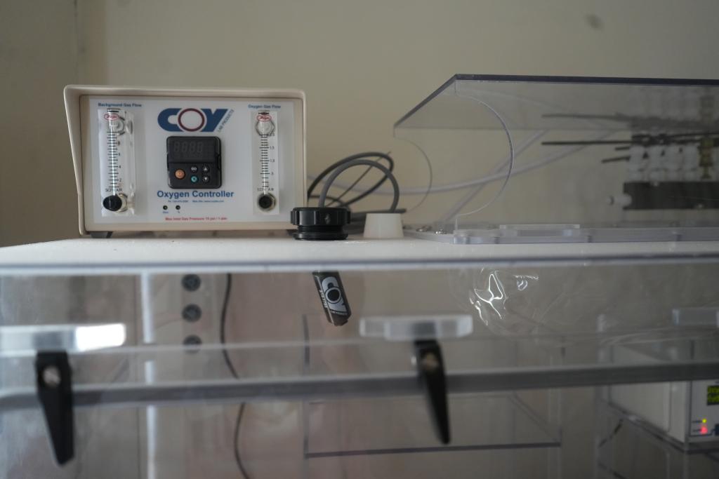 O2 controller